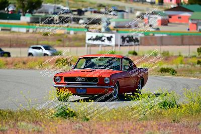 media/Apr-27-2024-LA Shelby Club (Sat) [[ca61902bd2]]/White Group/Session 1 (Turn 2)/